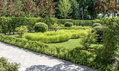 круглая клумба со злаками у дорожки